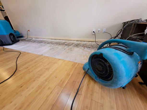 Reliable Basement Flood Cleanup contractor in Cleveland, MN by Hirex Water Damage