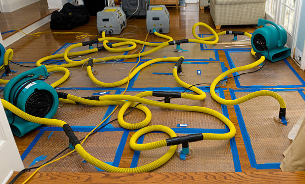 Professional Basement Flood Cleanup technician working in Cleveland, MN